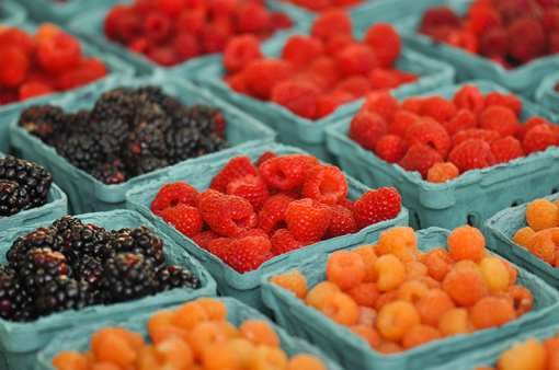 8 Best Farmers Markets in Minnesota!