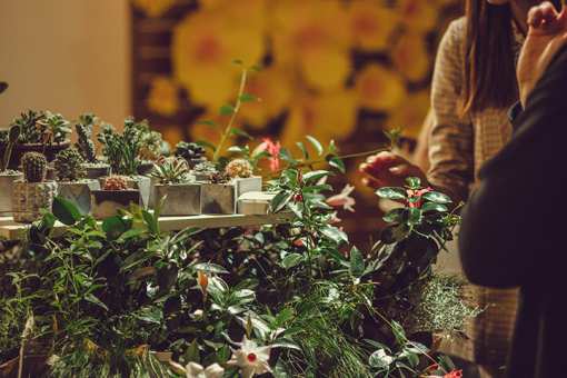 9 Best Garden Centers and Nurseries in Minnesota!